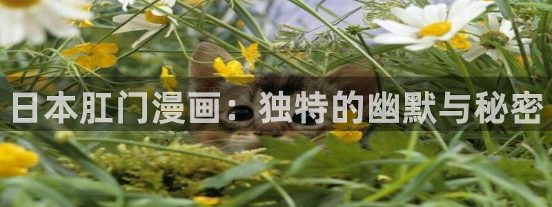 漫蛙2软件免费下载
