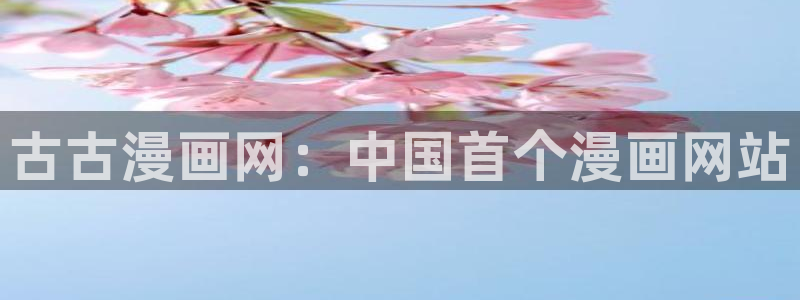 漫蛙浏览器