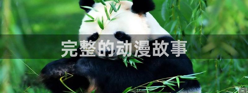 怎么下载正版漫蛙
