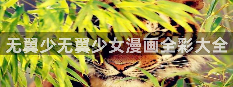 漫蛙在哪里下载