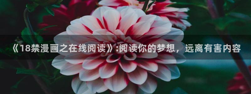 漫蛙manwa2正版下载2025