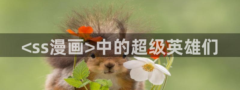 漫蛙走失页怎么使用