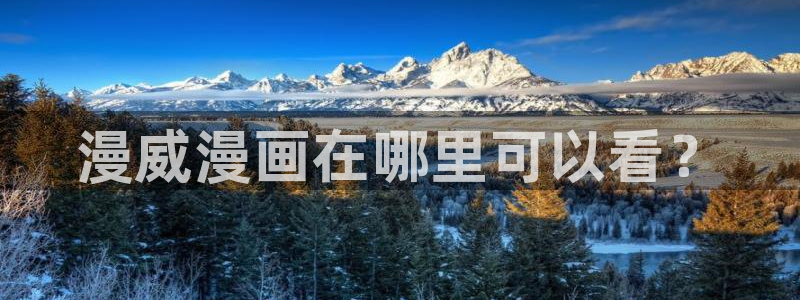 漫蛙2豆游网