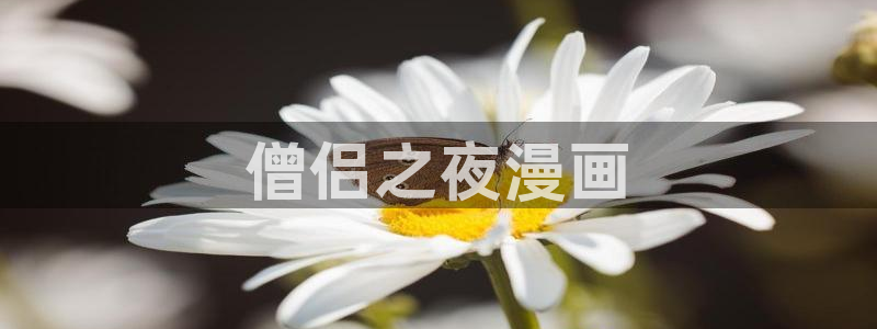 漫蛙免费下载安装