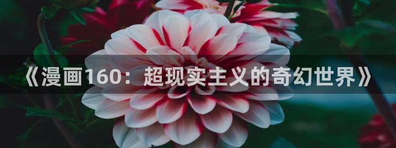 漫蛙2 链接