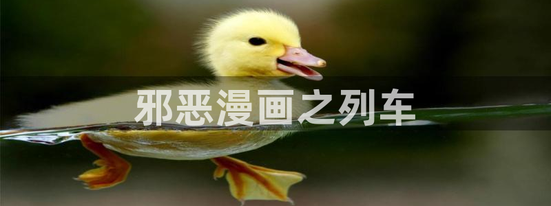 漫蛙漫画(网页入口)免费正版