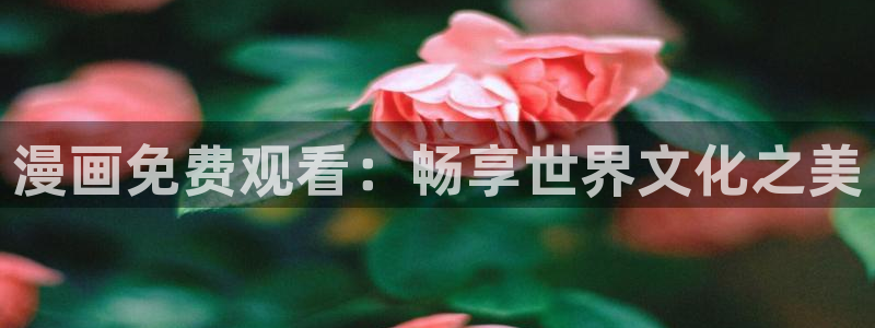 漫蛙漫画网站入口