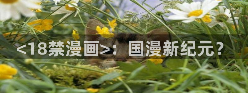万渣朝凰漫蛙
