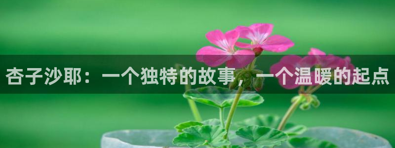 漫蛙星