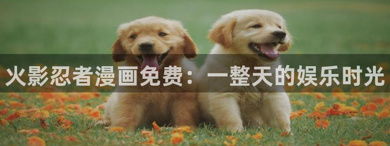漫蛙官网网址入口